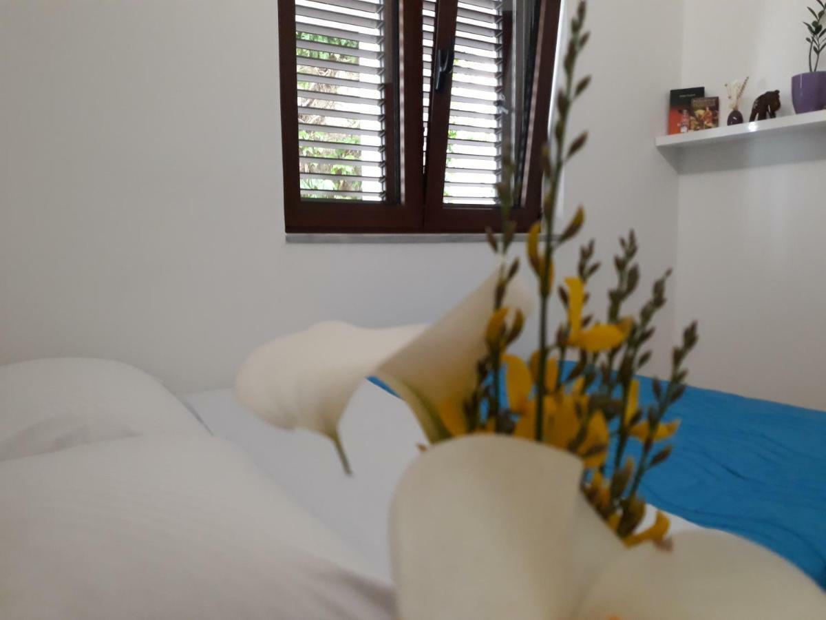 Apartments Ardura Petrovac na moru Exterior foto